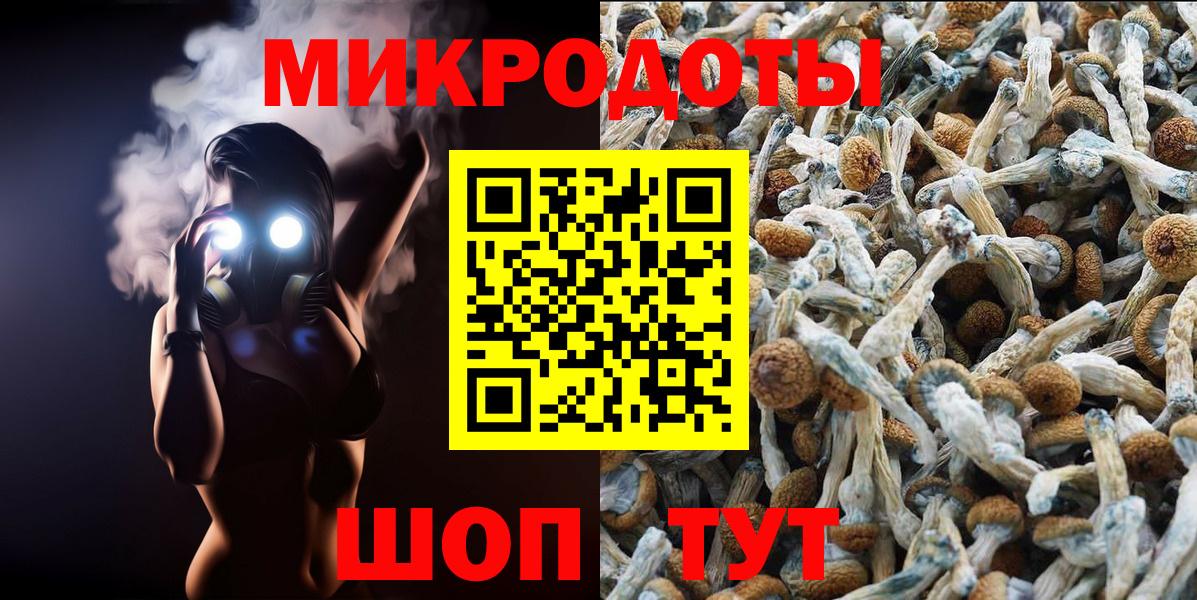 Галлюциногенные грибы Cubensis  Вход с VPN  Изобильный 